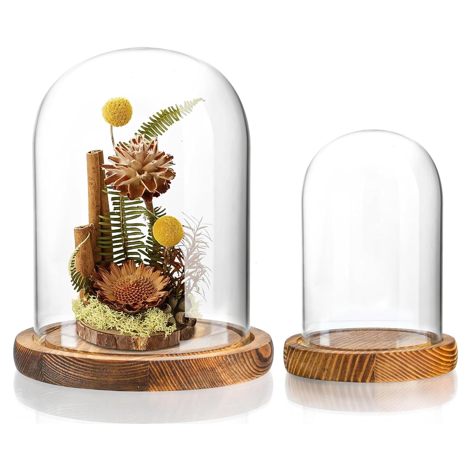 Campana de Vidrio con Base de Madera ZEERSHEE 2 Piezas 9.9x13cm 14.5x17cm