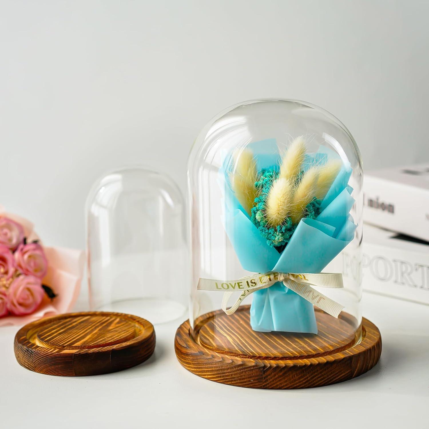 Campana de Vidrio con Base de Madera ZEERSHEE 2 Piezas 9.9x13cm 14.5x17cm