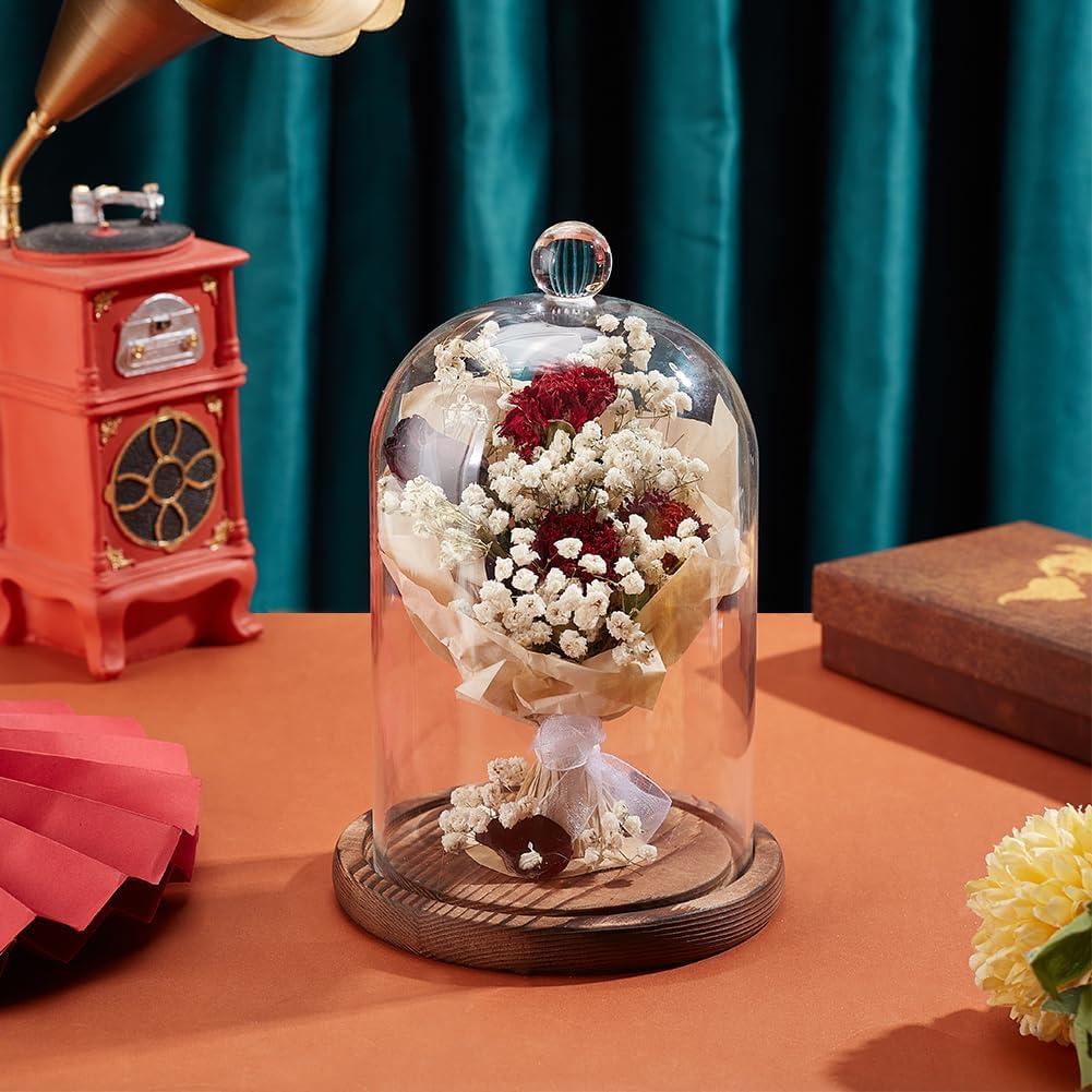 Campana de Vidrio BENECREAT 14.3x19.3cm con Base de Madera