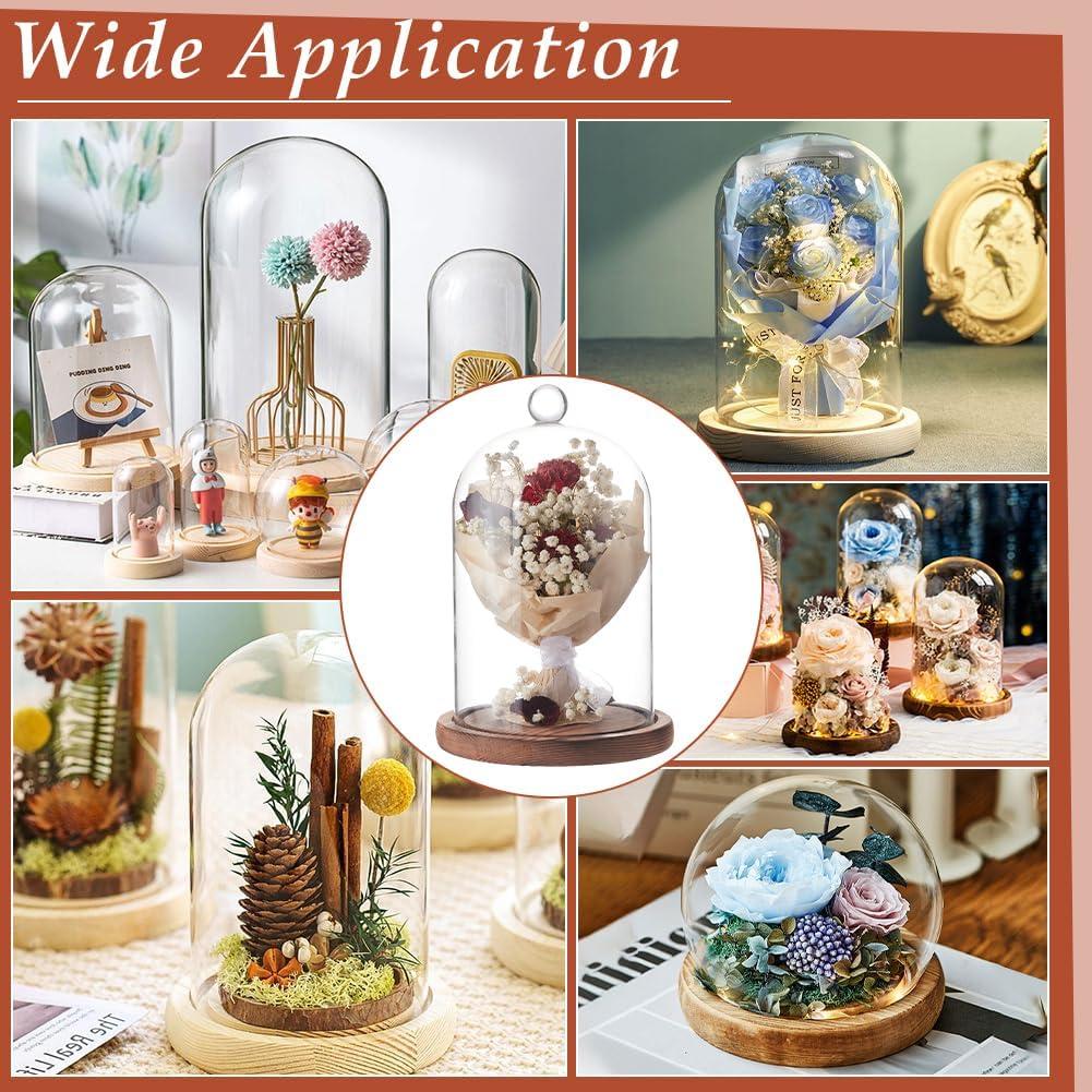 Campana de Vidrio BENECREAT 14.3x19.3cm con Base de Madera