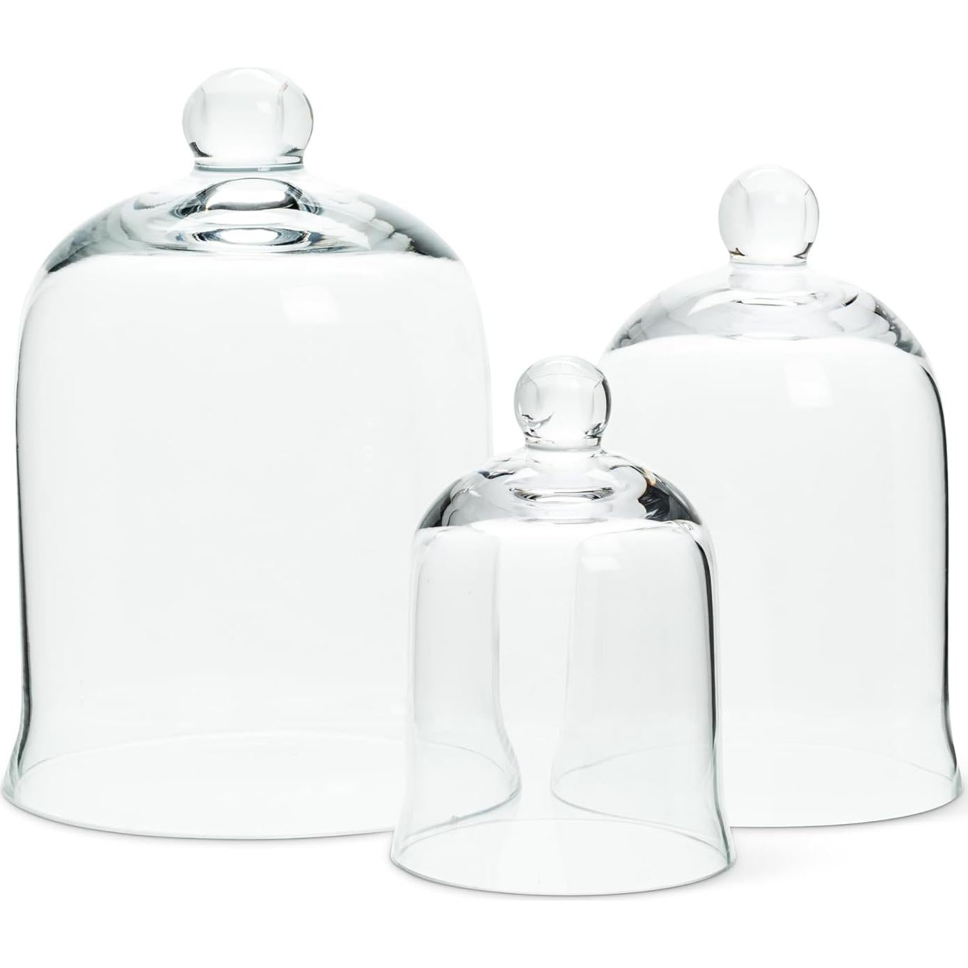 Cloche de Vidrio Transparente Colección Abbott 17.78 cm
