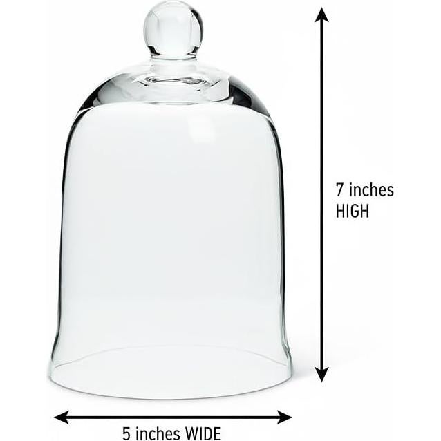 Cloche de Vidrio Transparente Colección Abbott 17.78 cm