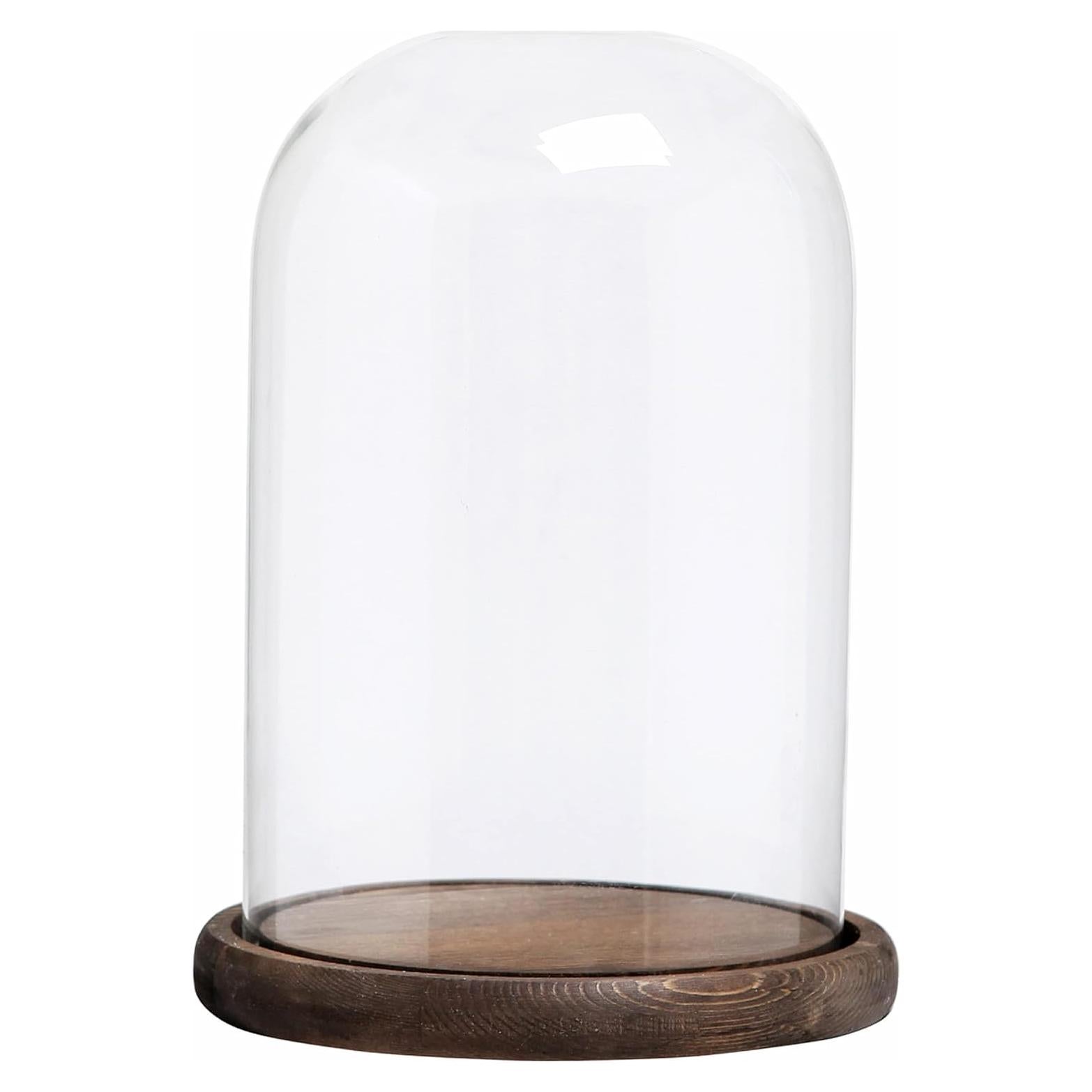 Campana de Vidrio con Base de Madera MyGift 26.7 cm Decorativa