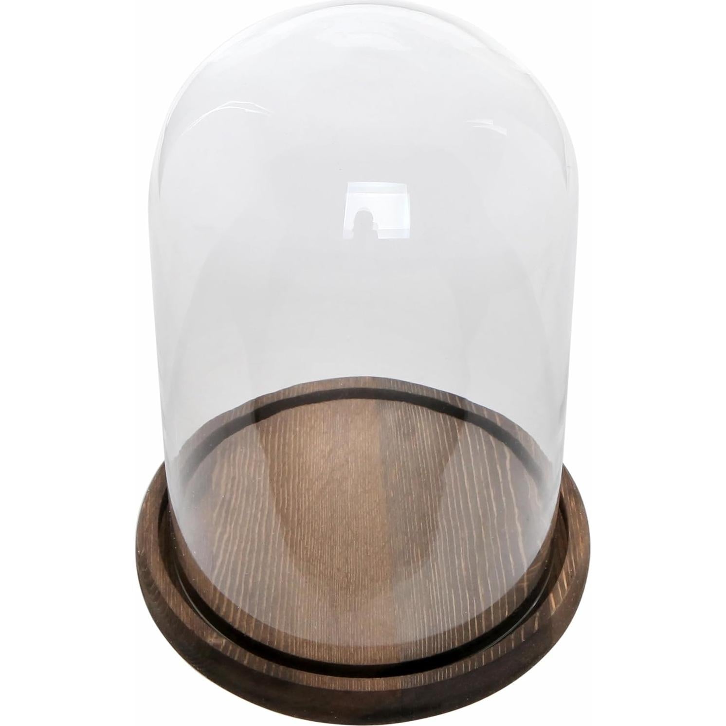 Campana de Vidrio con Base de Madera MyGift 26.7 cm Decorativa