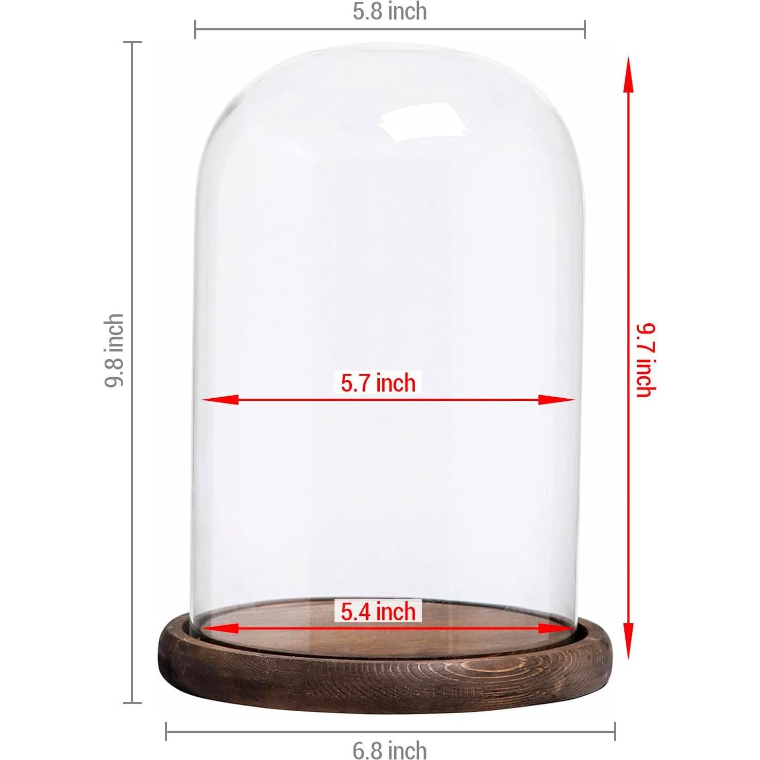 Campana de Vidrio con Base de Madera MyGift 26.7 cm Decorativa