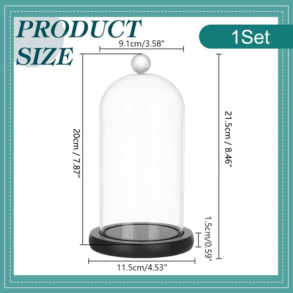 Campana de Vidrio Cloche PH PandaHall 21.5x11.5 cm Decorativa