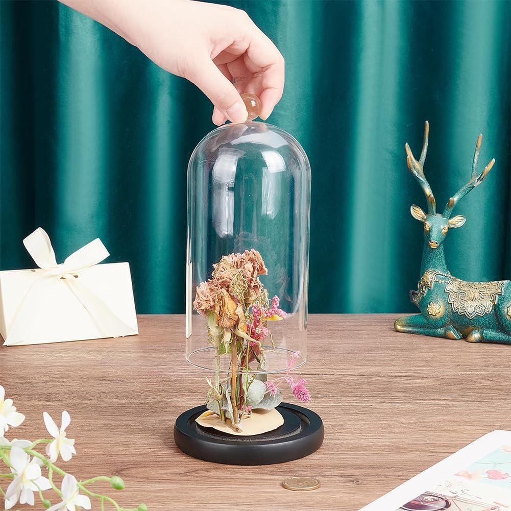 Campana de Vidrio Cloche PH PandaHall 21.5x11.5 cm Decorativa