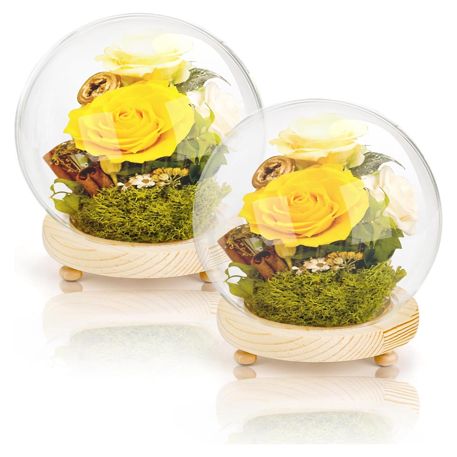 Paquete de 2 Campanas de Vidrio Pumtus con Base de Madera 15 cm