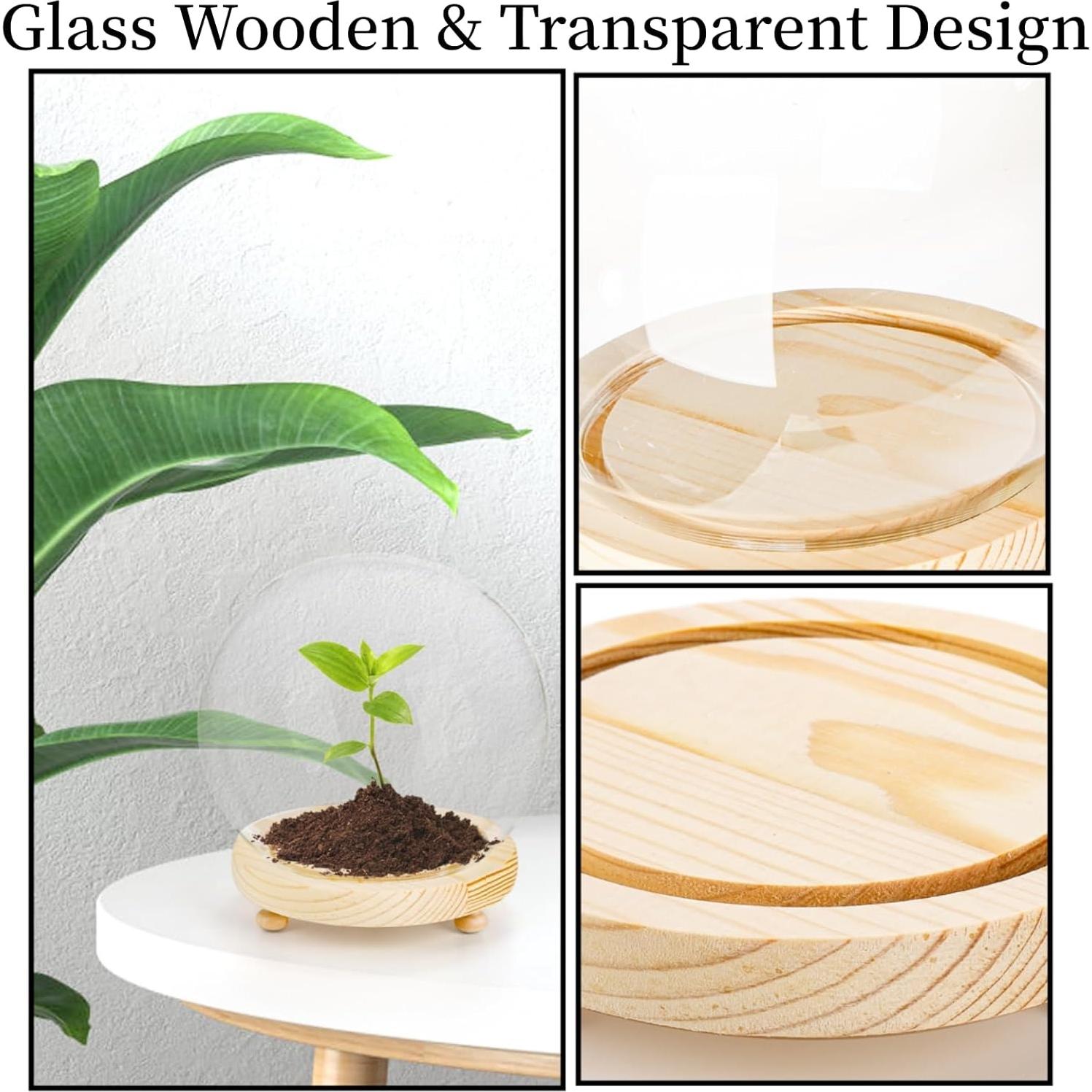 Paquete de 2 Campanas de Vidrio Pumtus con Base de Madera 15 cm