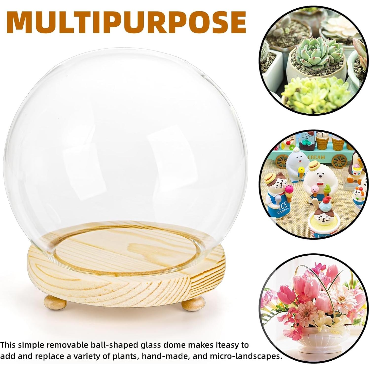 Paquete de 2 Campanas de Vidrio Pumtus con Base de Madera 15 cm