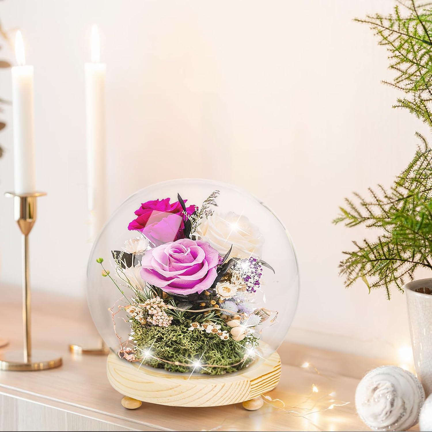 Paquete de 2 Campanas de Vidrio Pumtus con Base de Madera 15 cm