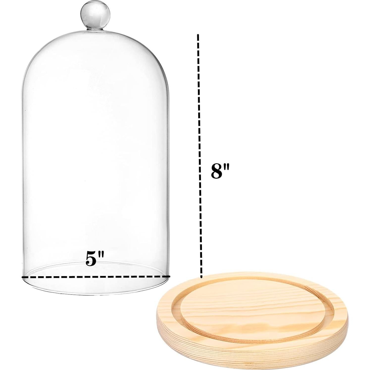 Campanas de Vidrio Lyellfe 2 Piezas con Base de Madera 20.32 cm