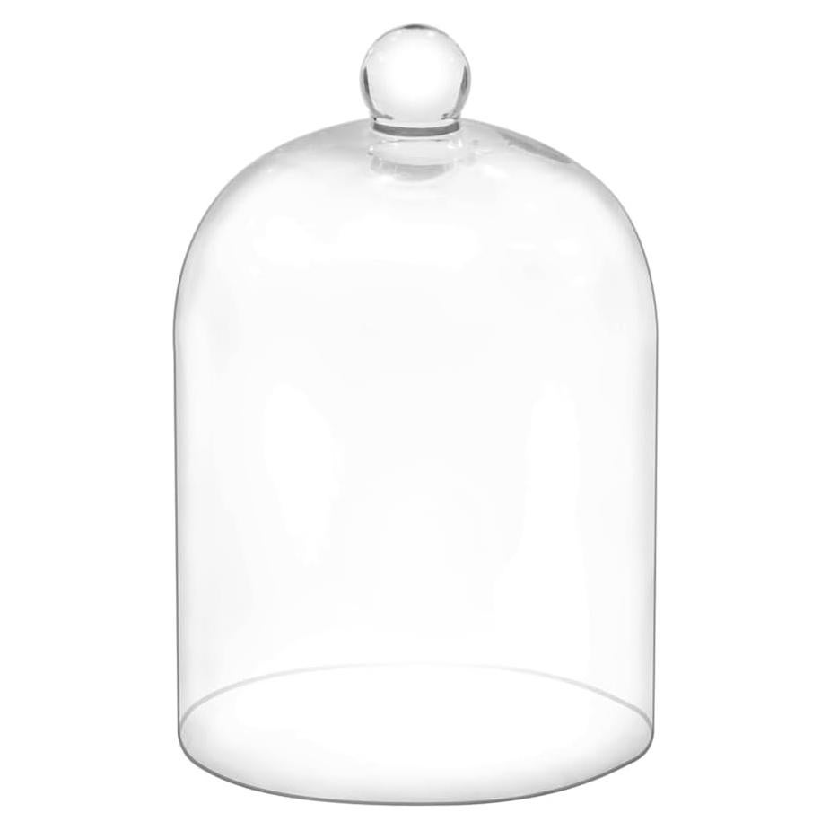 Campana de vidrio hecha a mano 19 cm para terrario y decoración