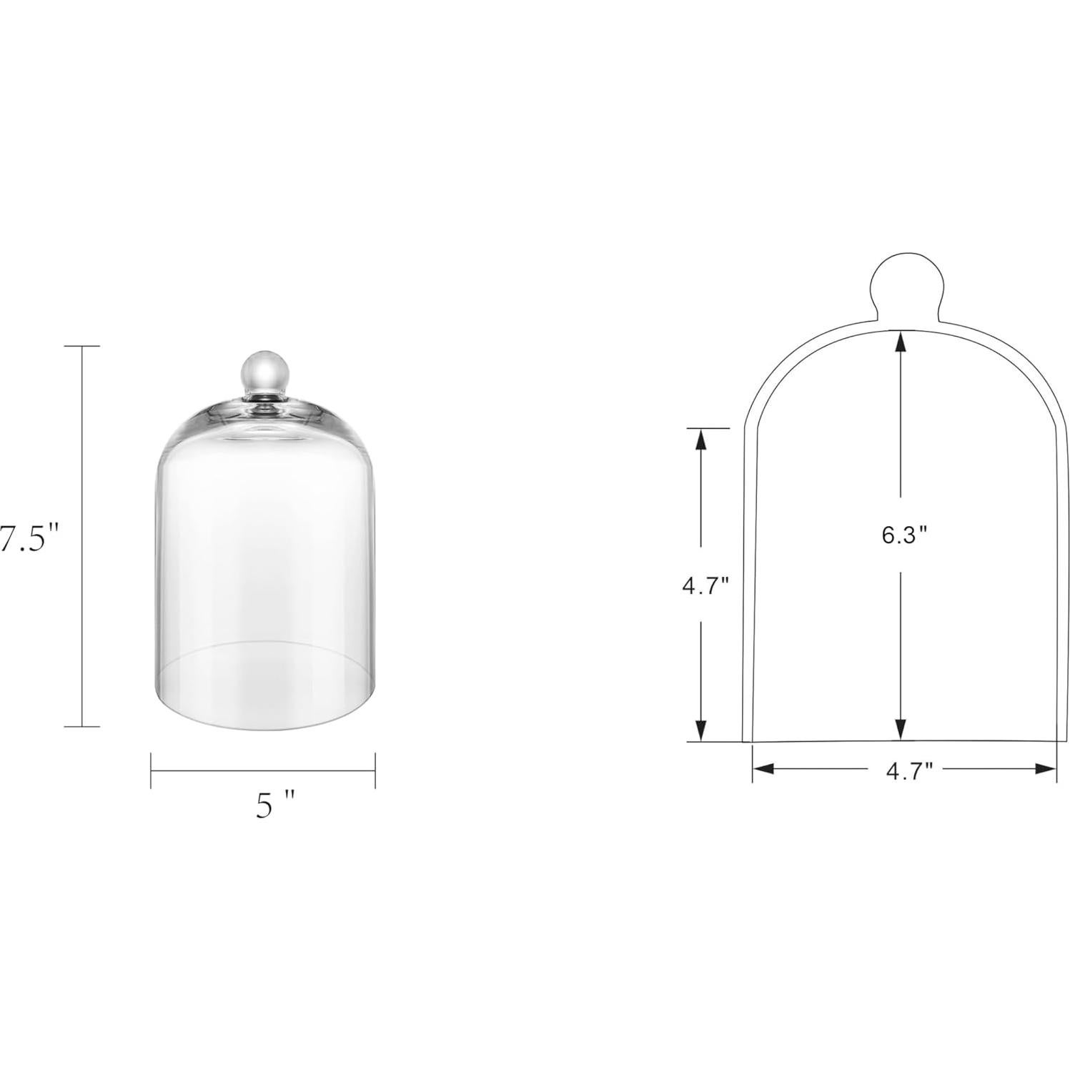 Campana de vidrio hecha a mano 19 cm para terrario y decoración