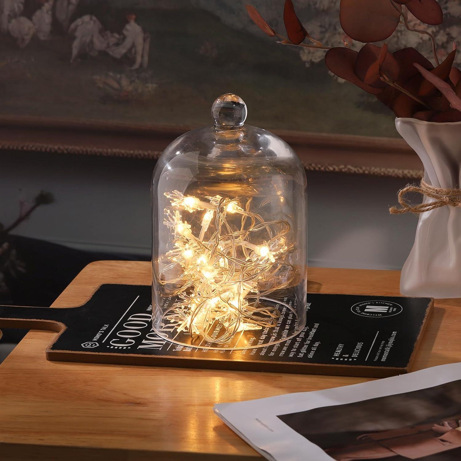 Campana de vidrio hecha a mano 19 cm para terrario y decoración