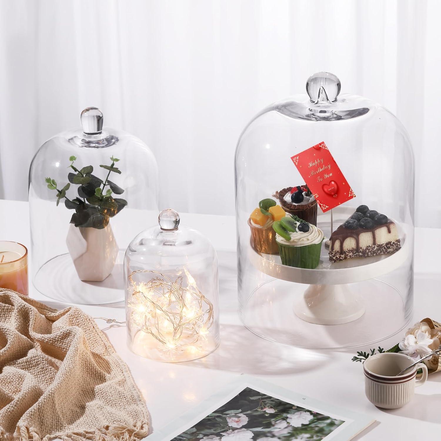 Campana de vidrio hecha a mano 19 cm para terrario y decoración