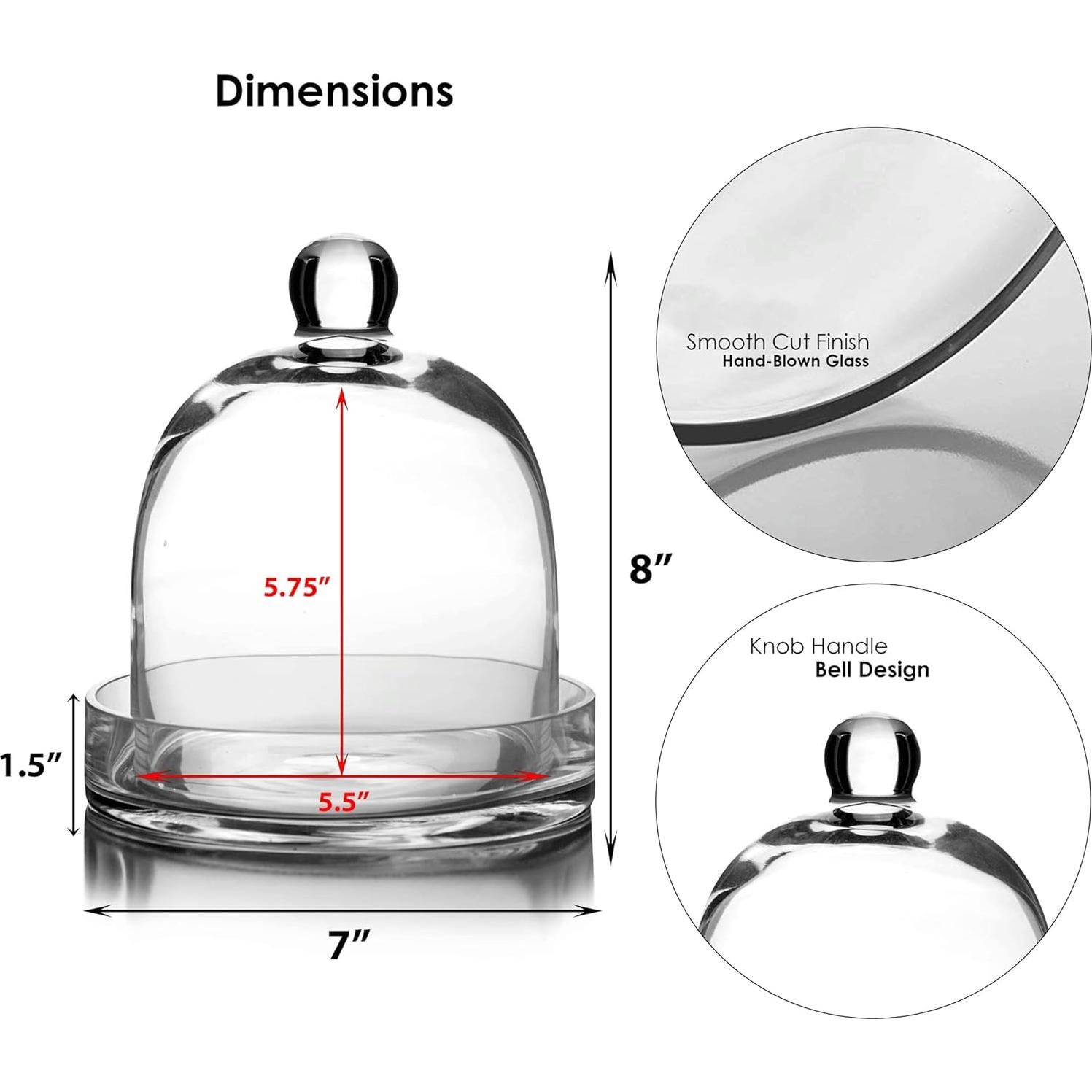 Campana de Vidrio CYS EXCEL con Base - 20.32x17.78 cm
