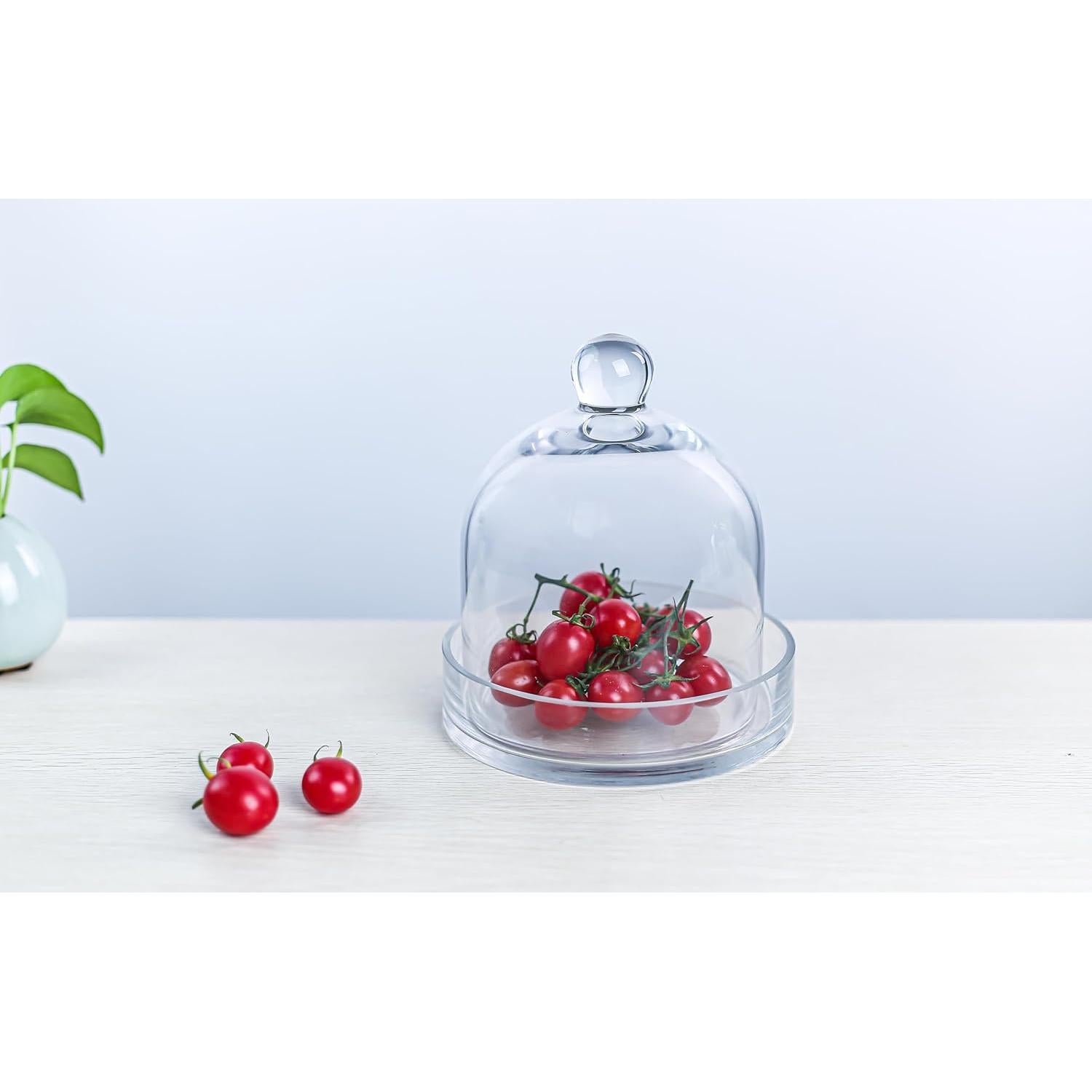 Campana de Vidrio CYS EXCEL con Base - 20.32x17.78 cm