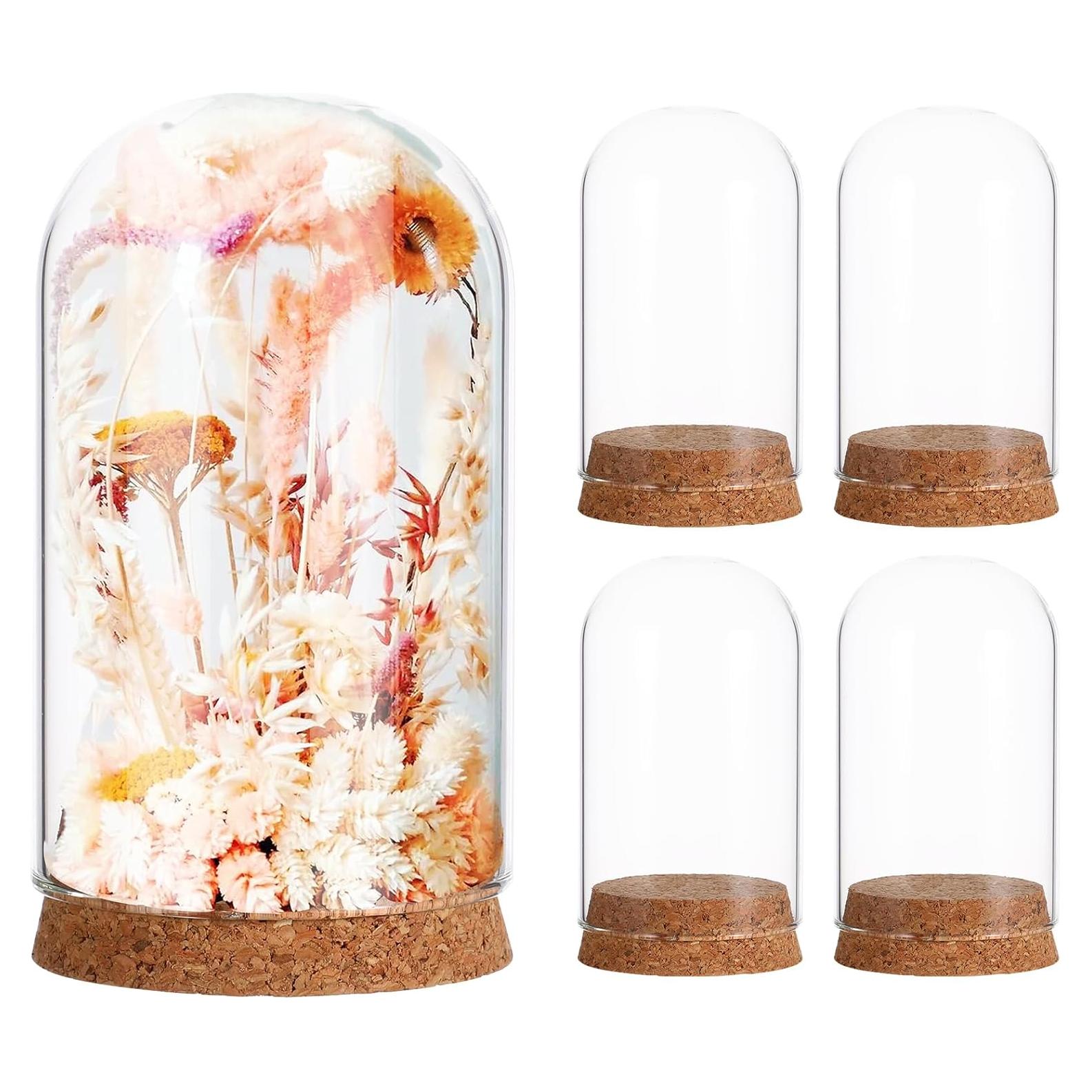 Campana de Vidrio Cloche IMIKEYA 5 Piezas con Base de Madera 10x6 cm