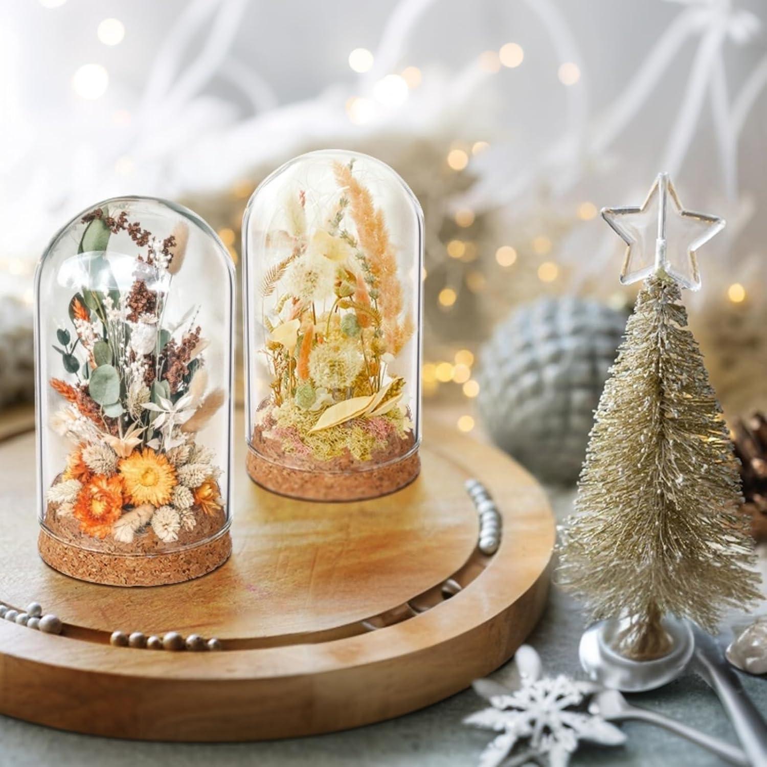 Campana de Vidrio Cloche IMIKEYA 5 Piezas con Base de Madera 10x6 cm