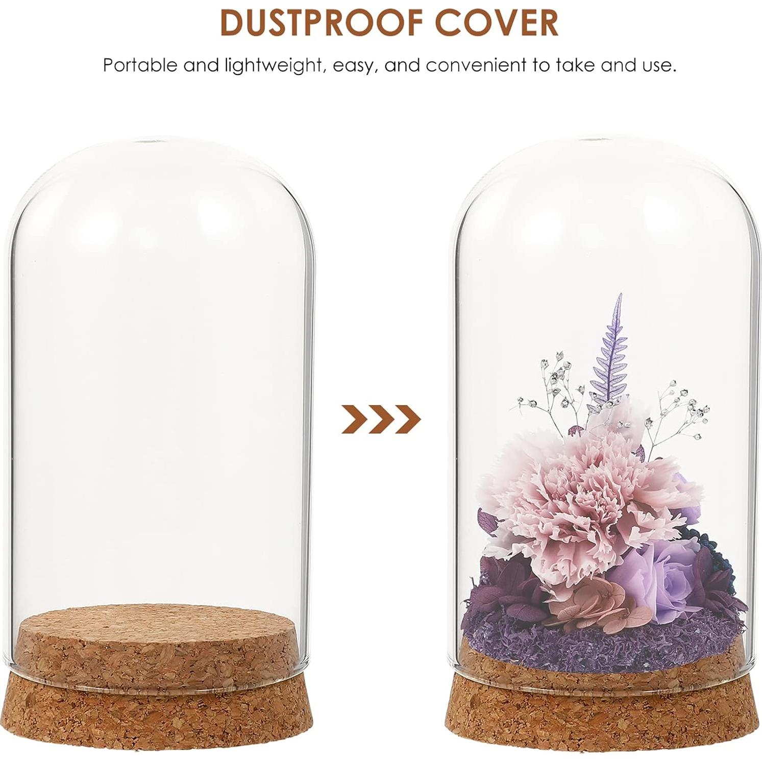 Campana de Vidrio Cloche IMIKEYA 5 Piezas con Base de Madera 10x6 cm