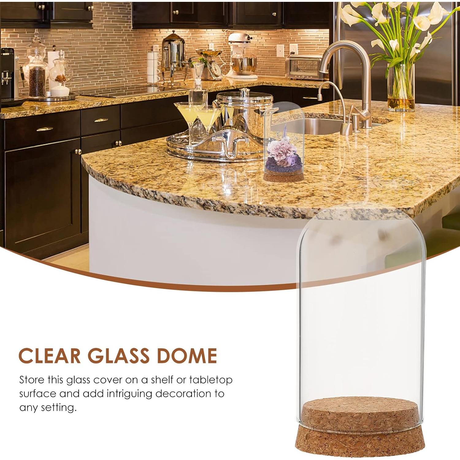 Campana de Vidrio Cloche IMIKEYA 5 Piezas con Base de Madera 10x6 cm