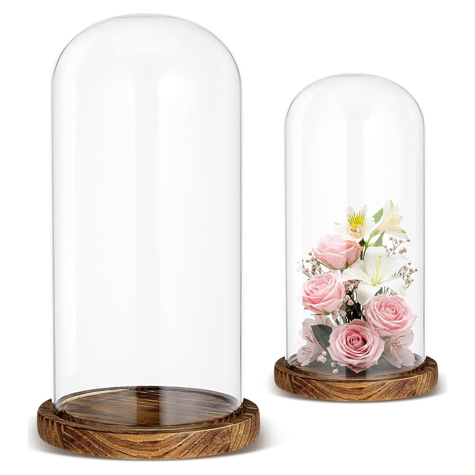 Campanas de Vidrio con Base de Madera Suclain - 2 Pcs 10" y 7"