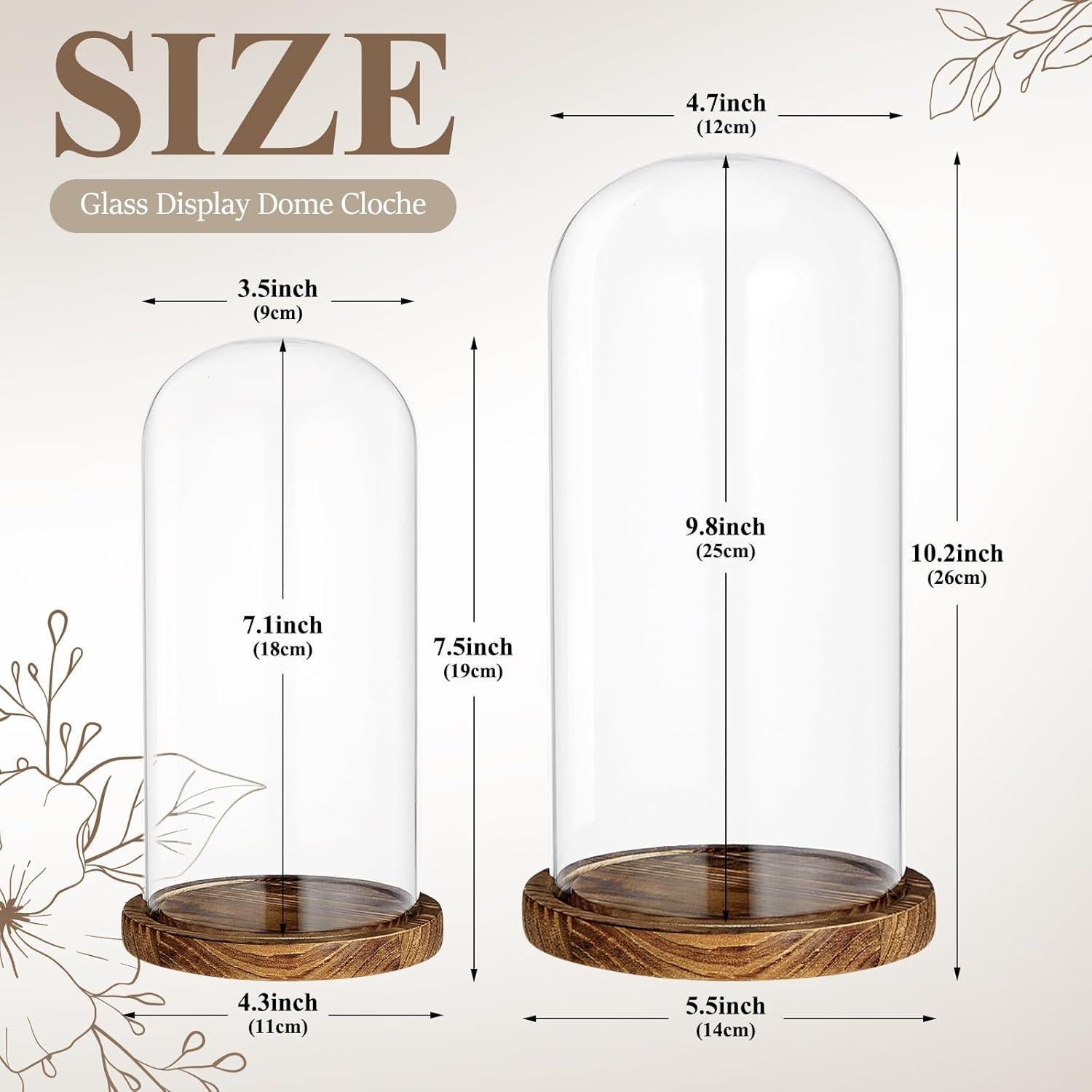 Campanas de Vidrio con Base de Madera Suclain - 2 Pcs 10" y 7"