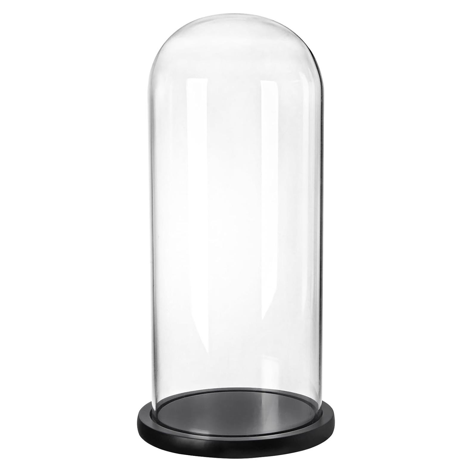 Campana de Vidrio ZOOFOX 35.1 cm con Base de Madera