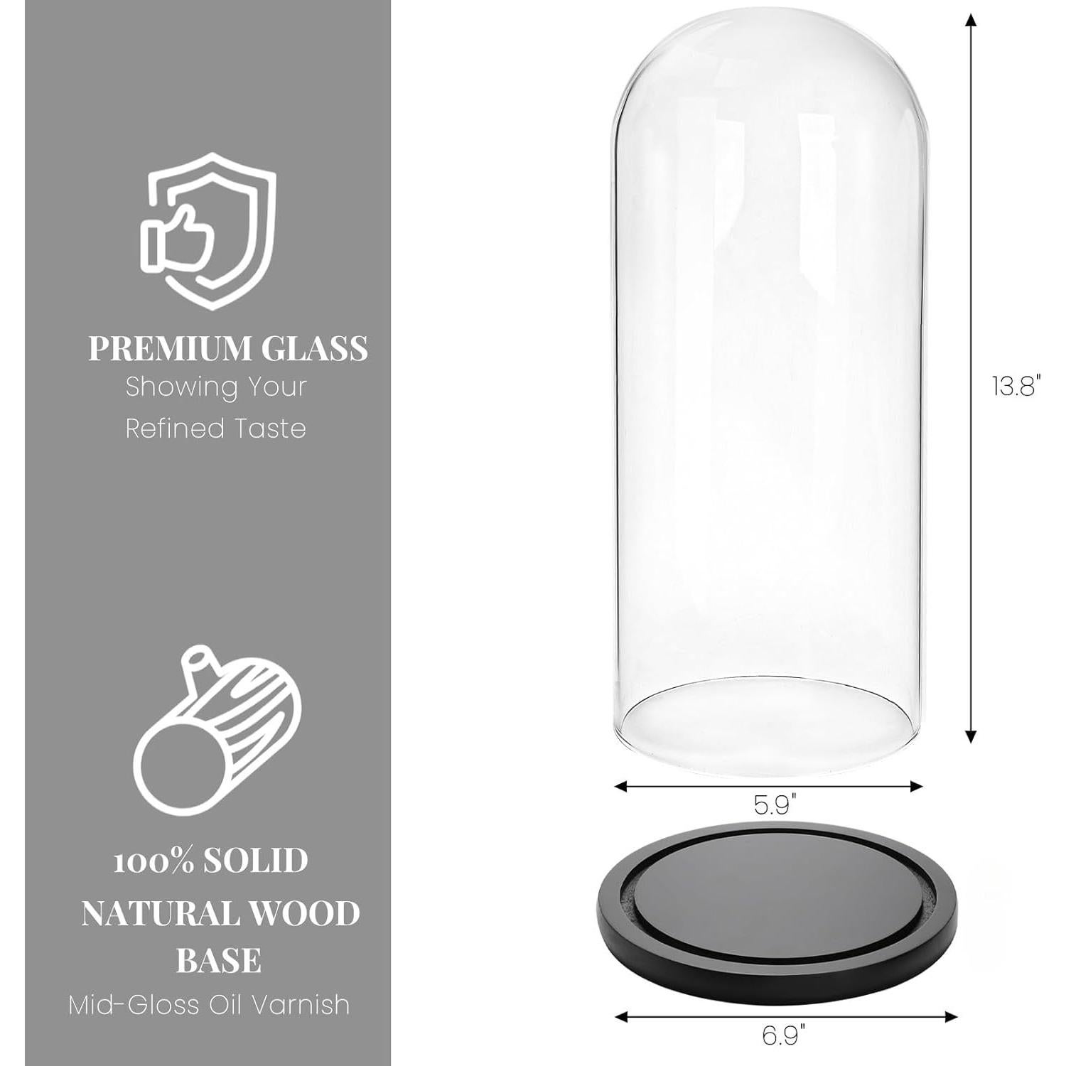 Campana de Vidrio ZOOFOX 35.1 cm con Base de Madera