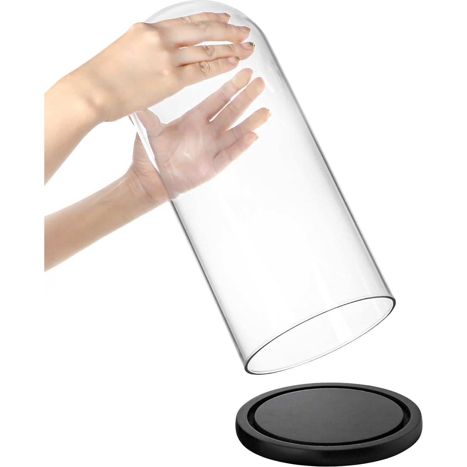 Campana de Vidrio ZOOFOX 35.1 cm con Base de Madera