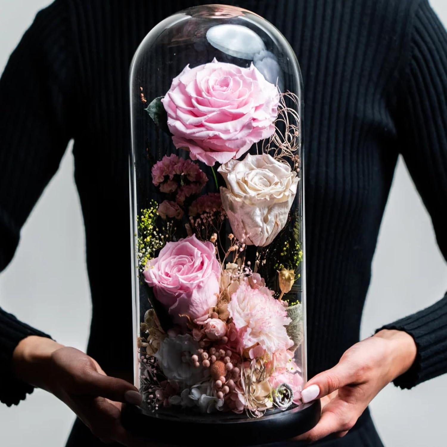 Campana de Vidrio ZOOFOX 35.1 cm con Base de Madera