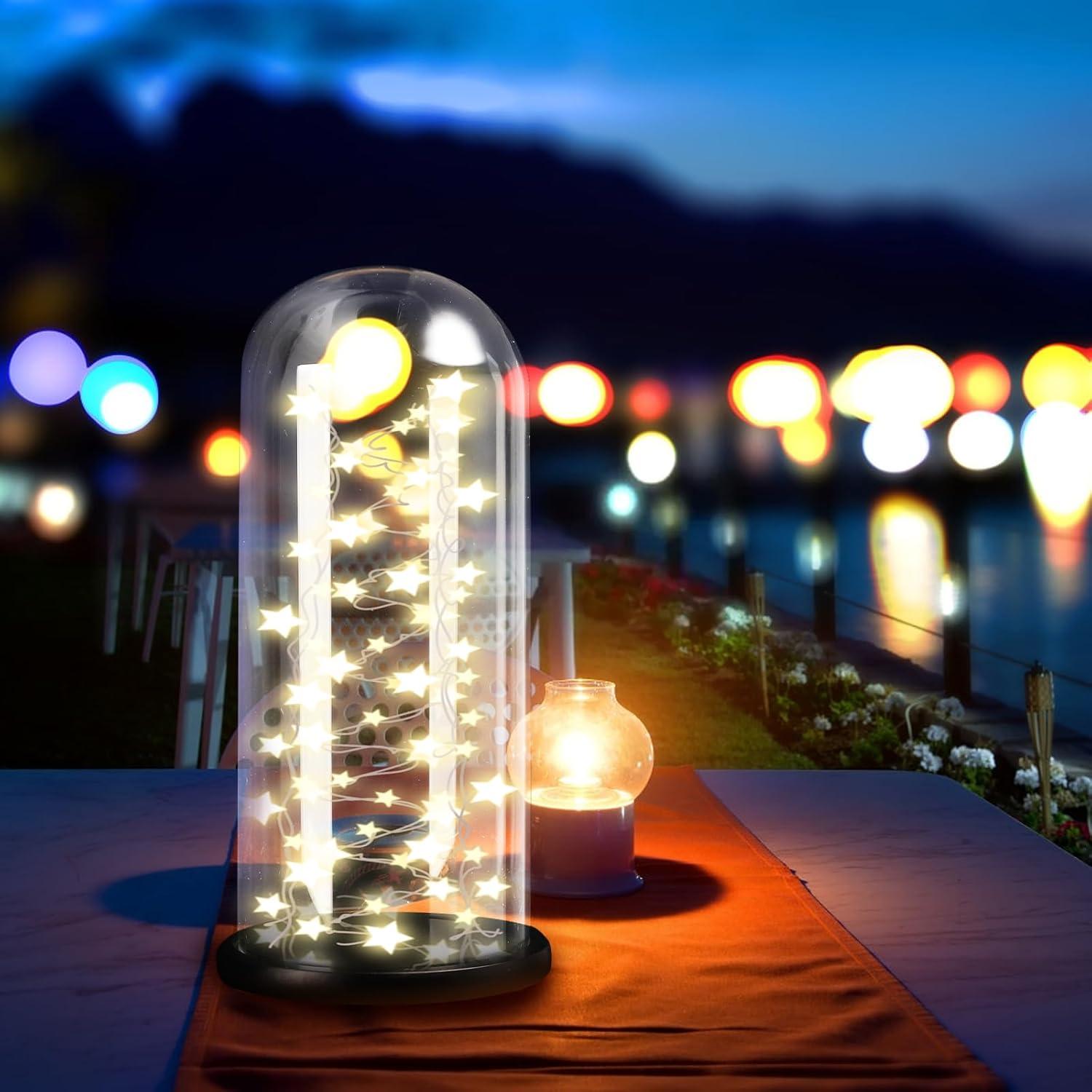 Campana de Vidrio ZOOFOX 35.1 cm con Base de Madera