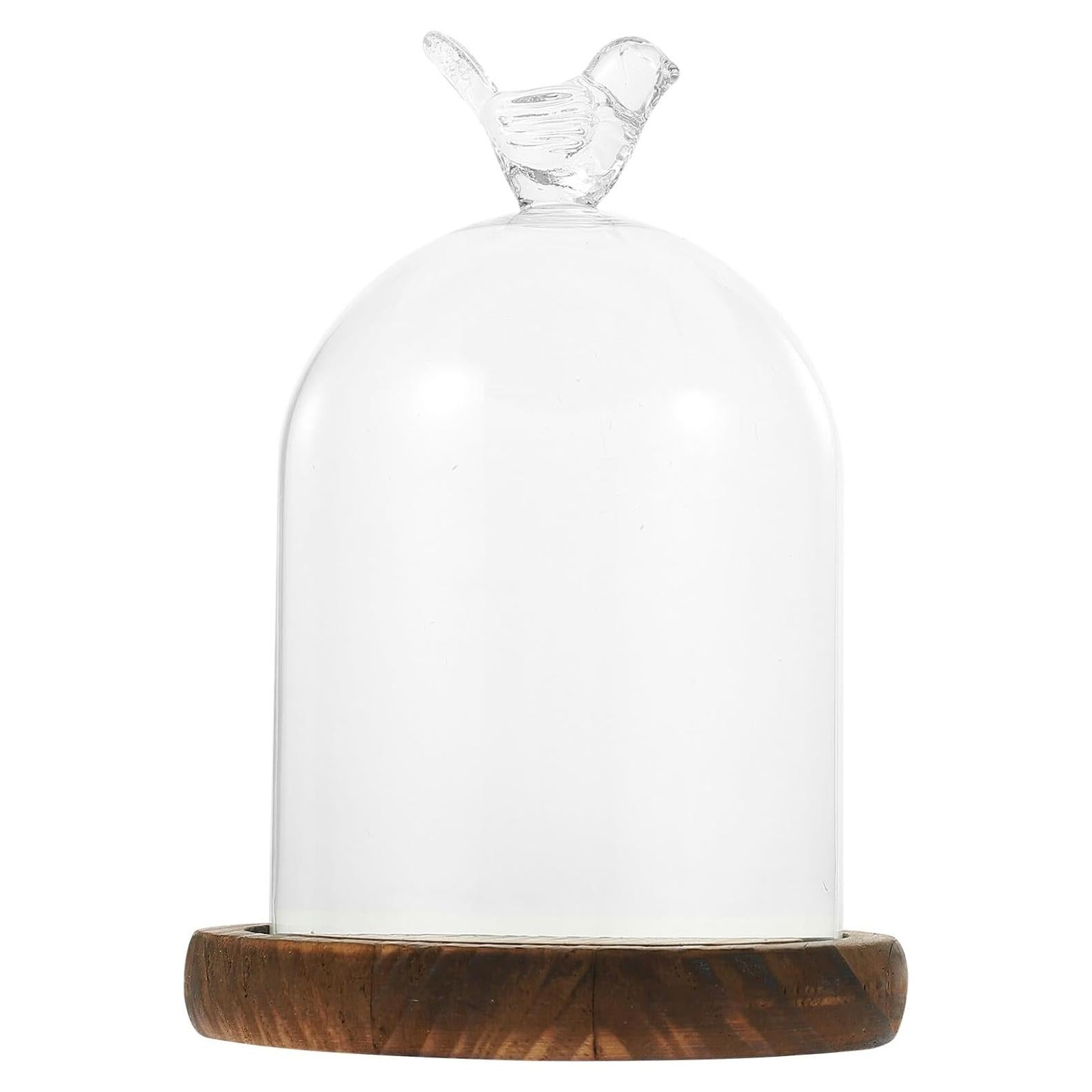 Campana de vidrio cloche Kichvoe 14x9cm con base de madera