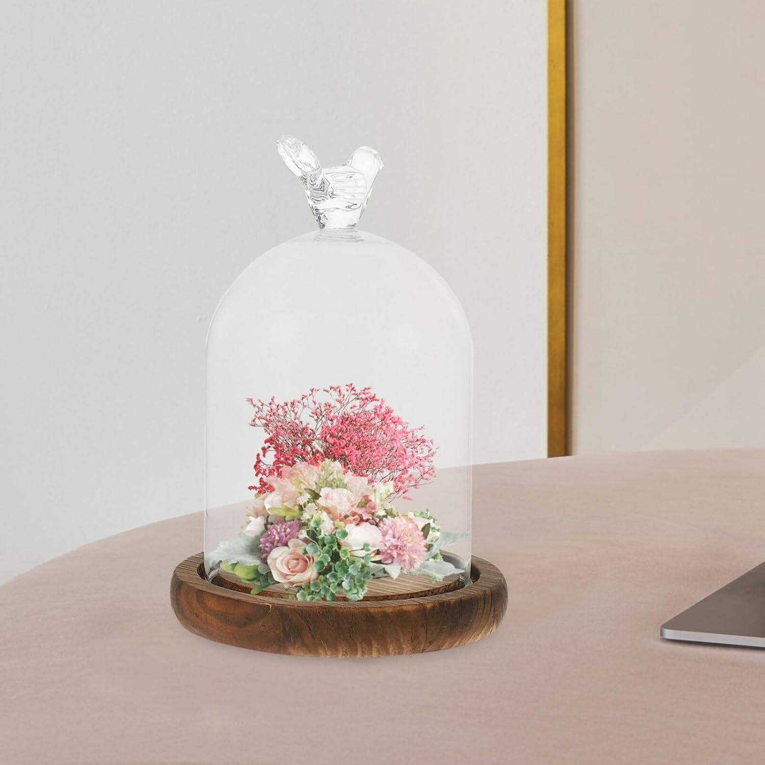 Campana de vidrio cloche Kichvoe 14x9cm con base de madera