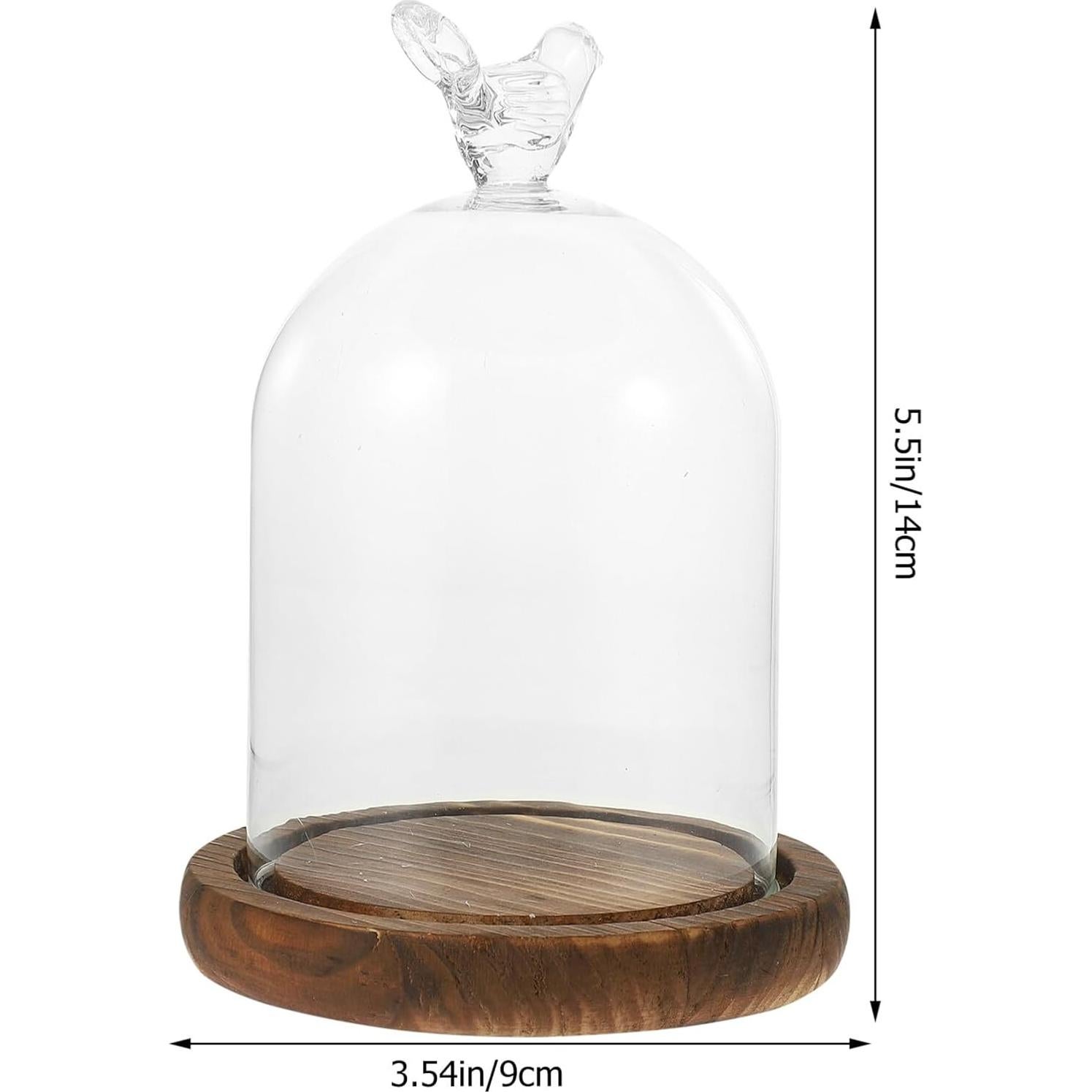 Campana de vidrio cloche Kichvoe 14x9cm con base de madera