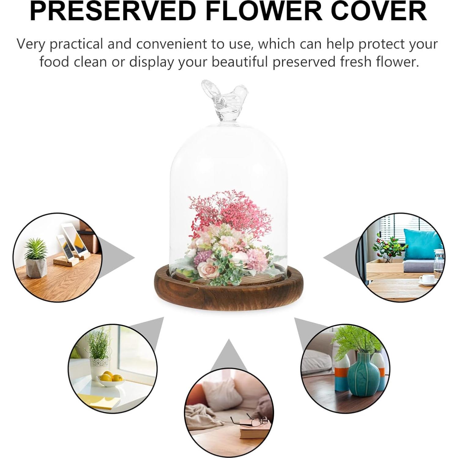 Campana de vidrio cloche Kichvoe 14x9cm con base de madera