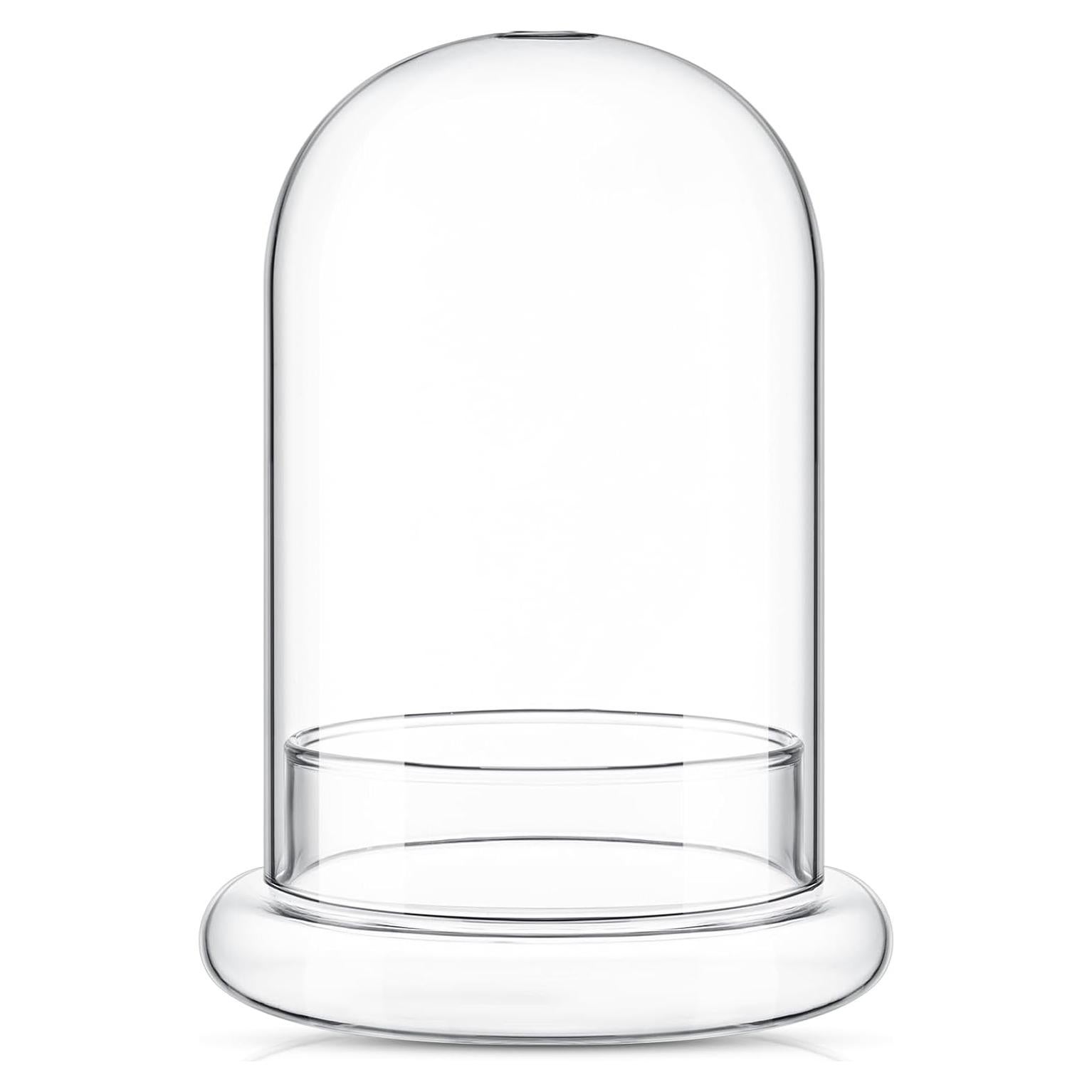 Terrario de Vidrio Perthlin 20 cm con Cúpula y Agujero de Aire