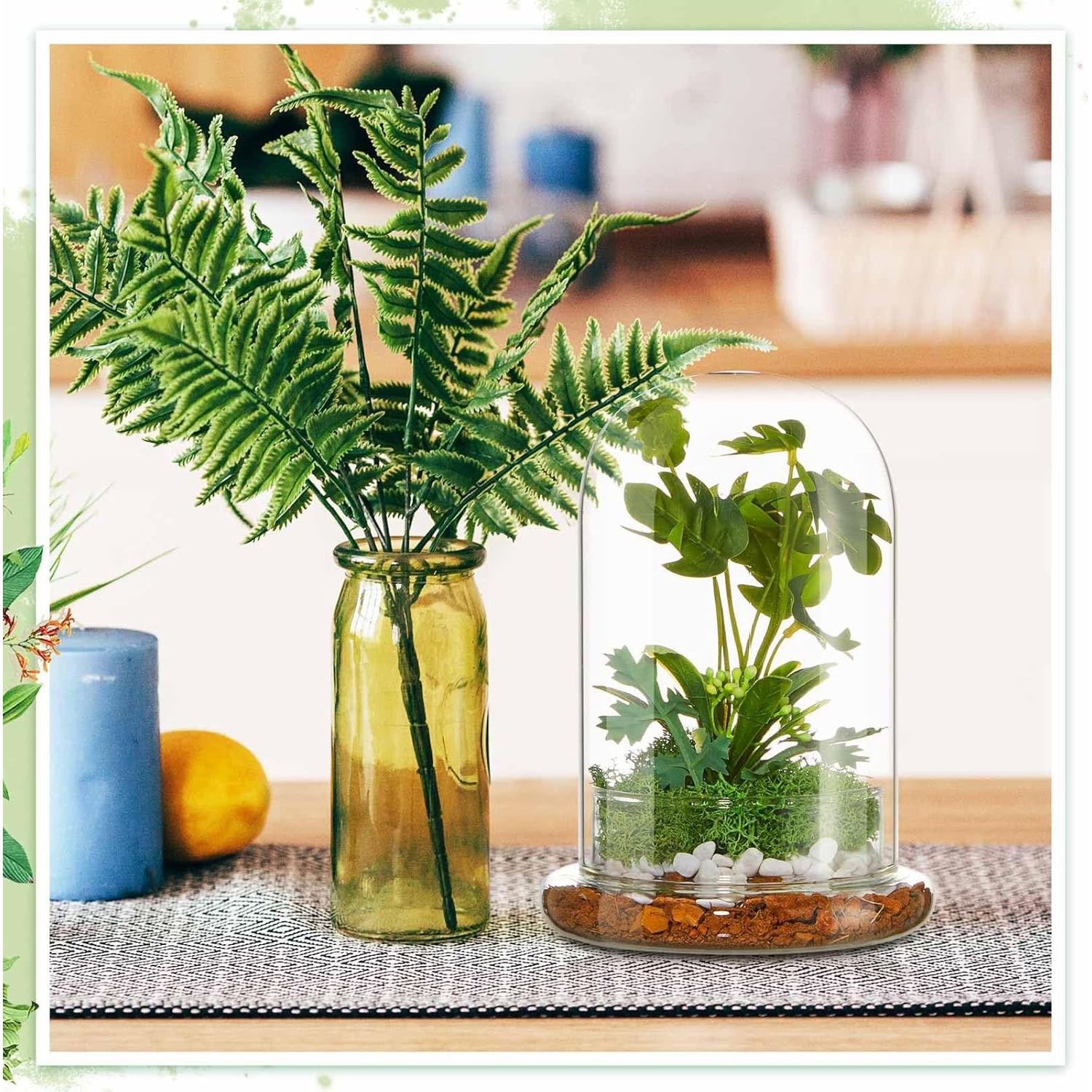 Terrario de Vidrio Perthlin 20 cm con Cúpula y Agujero de Aire