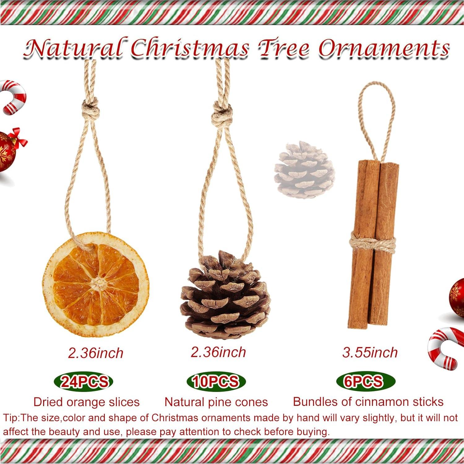 40 Adornos Naturales para Árbol de Navidad SOVOEY - Frutas Secas