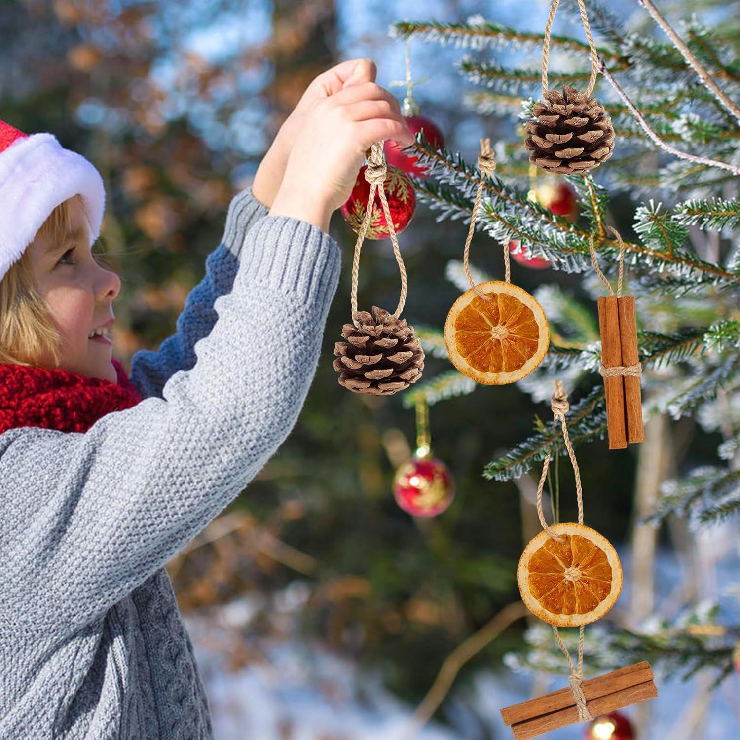 40 Adornos Naturales para Árbol de Navidad SOVOEY - Frutas Secas