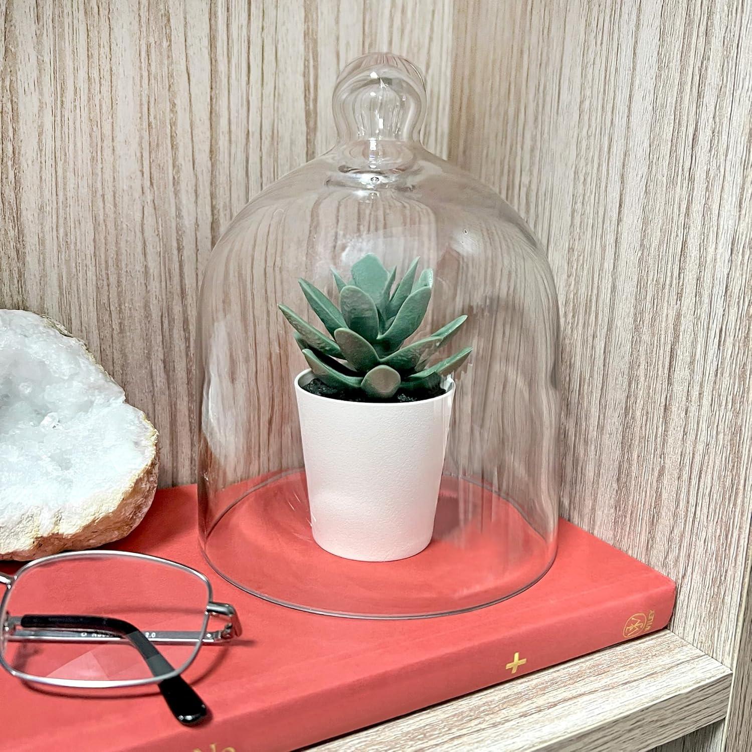 Campana de vidrio Plymor 12.7 x 15.2 cm sin base