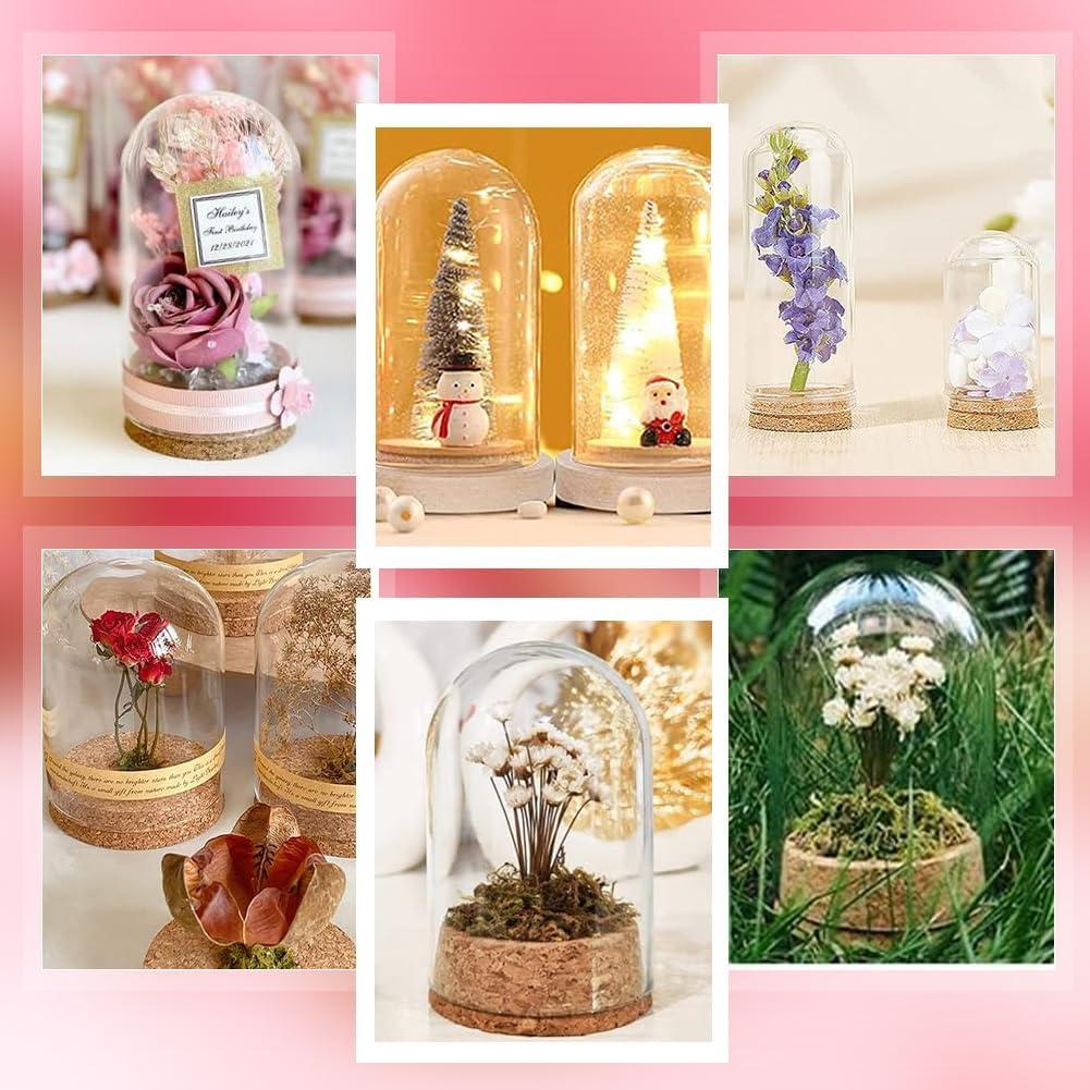 Campana Tarro de Vidrio PH PandaHall 4pcs 6.5x11cm Decoración