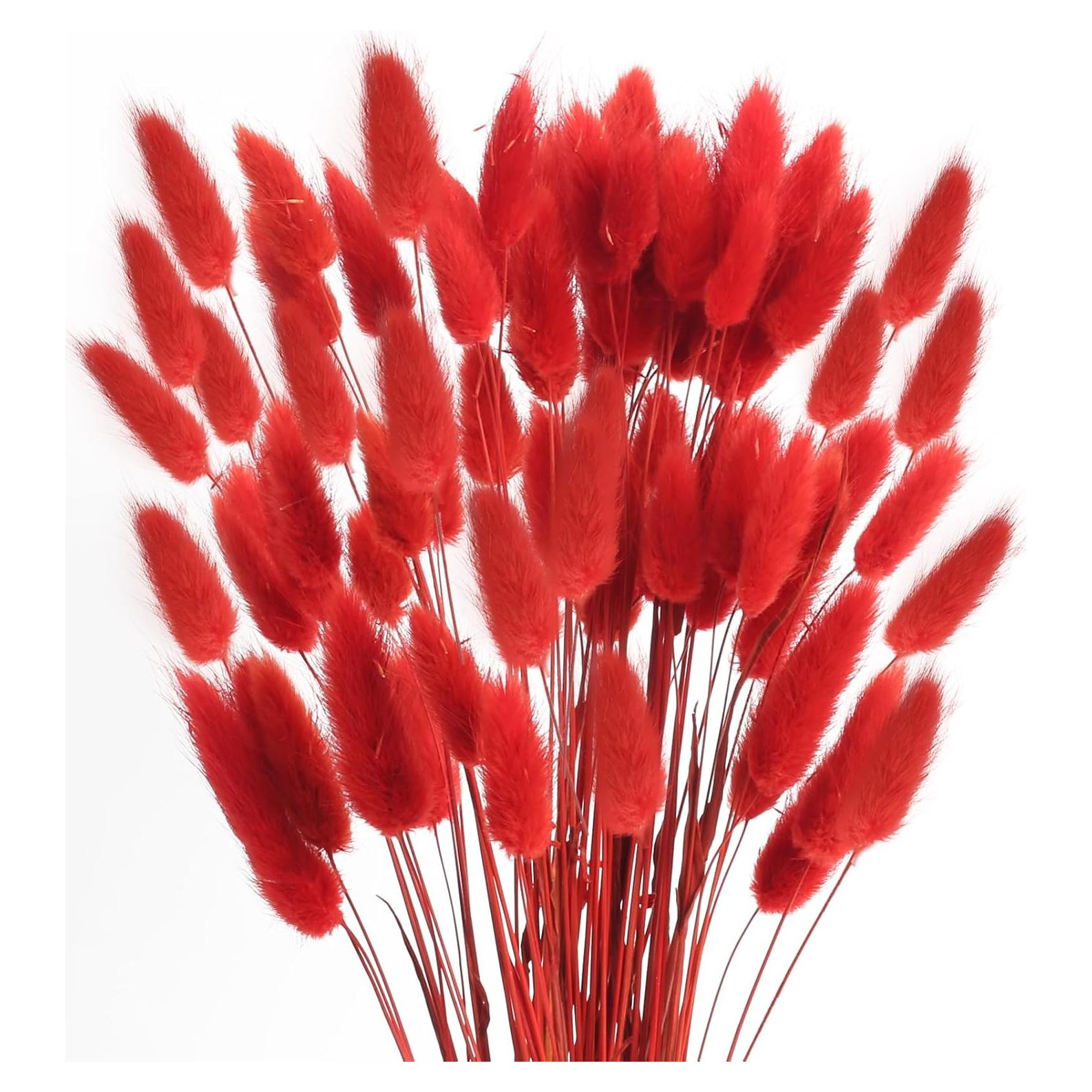 120 Piezas Colas de Conejo Rojas Flores Secas Naturales 43cm