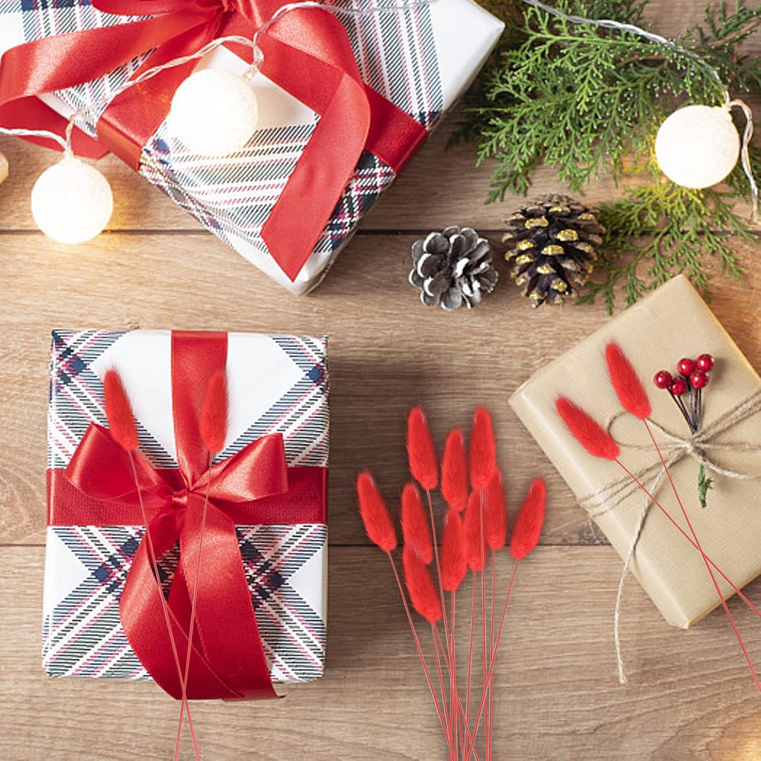 120 Piezas Colas de Conejo Rojas Flores Secas Naturales 43cm