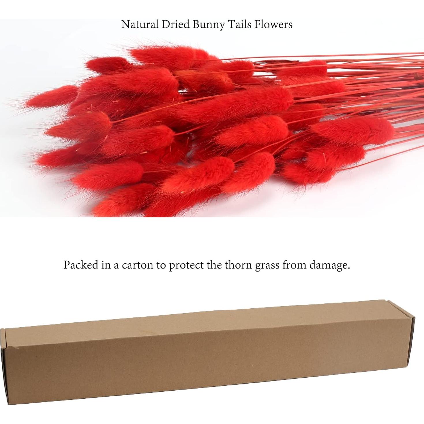 120 Piezas Colas de Conejo Rojas Flores Secas Naturales 43cm