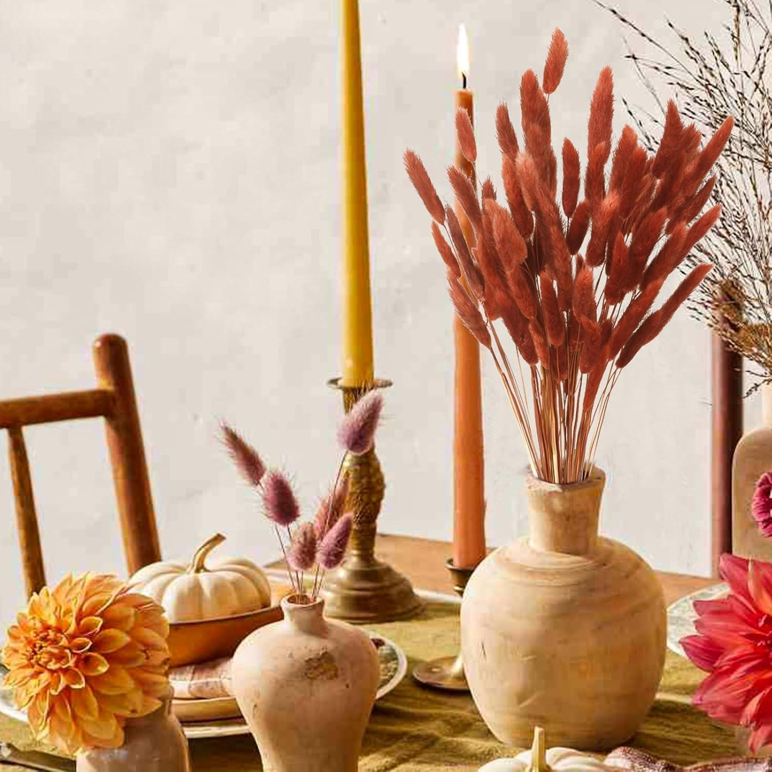 120 Piezas Colas de Conejo Secas HSTEY 43 cm Color Caramelo