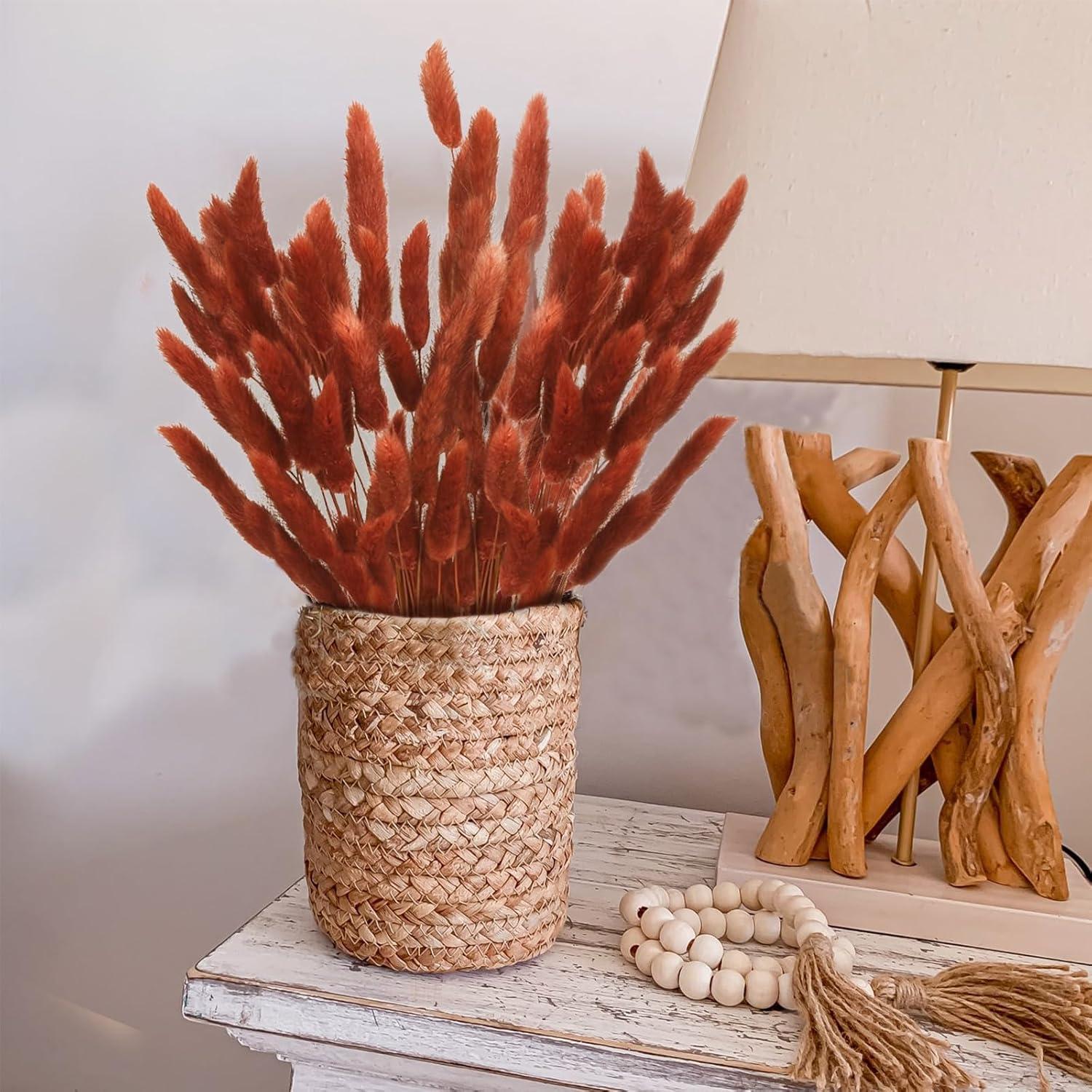 120 Piezas Colas de Conejo Secas HSTEY 43 cm Color Caramelo