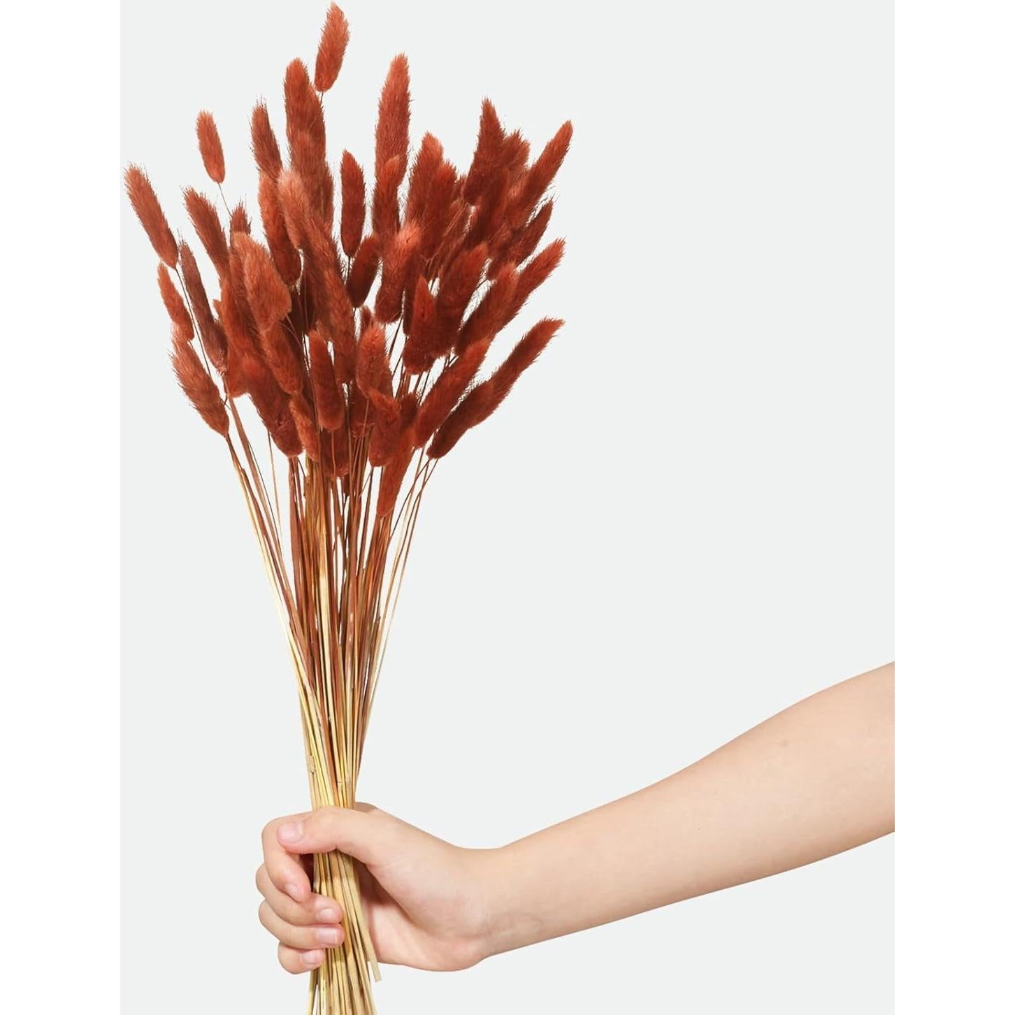 120 Piezas Colas de Conejo Secas HSTEY 43 cm Color Caramelo