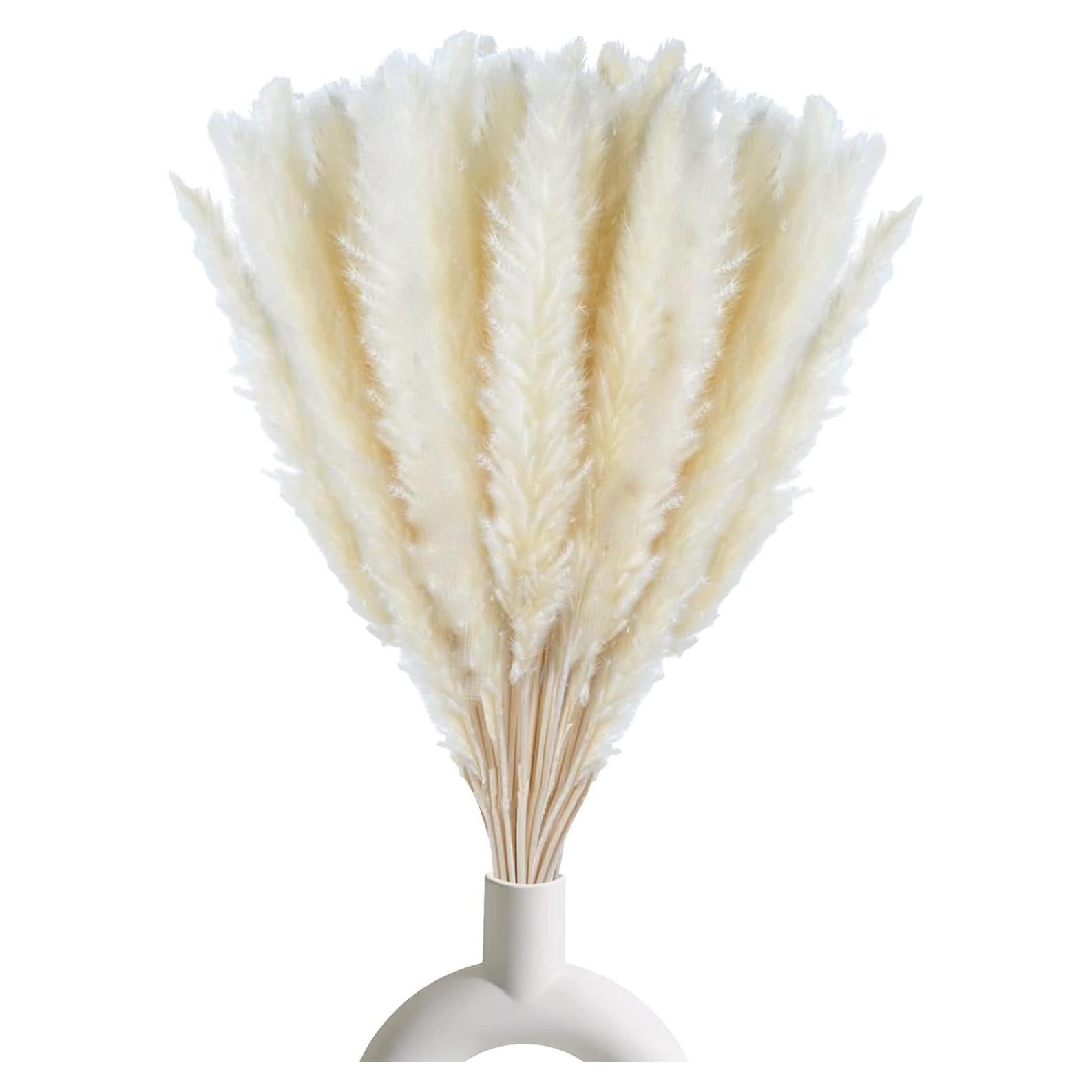 30 Ramas de Hierba Pampas Secas Comtelek 45 cm Decoración